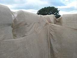 acastle 158130.jpg